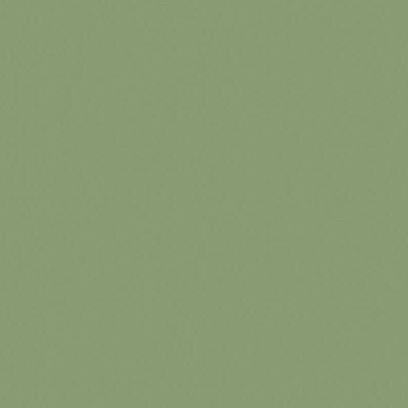 Farrow & Ball Modern Emulsion Yeabridge Green 287